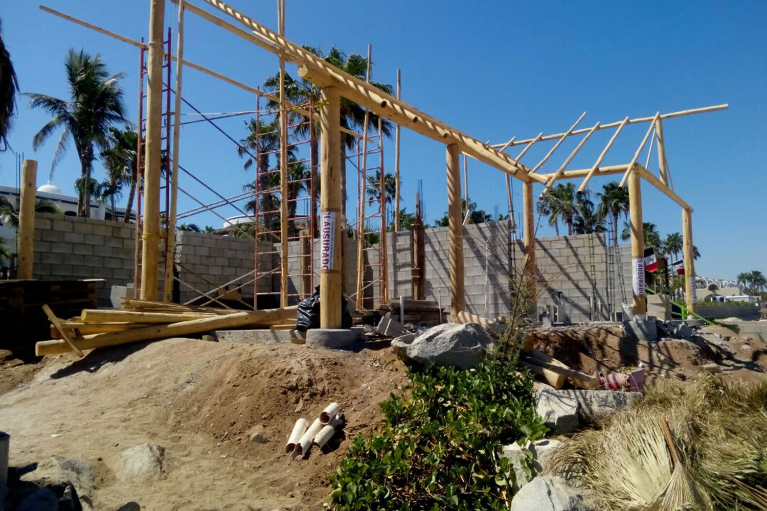 Profepa clausuró construcción de palapa en Cabo San Lucas, a ... - BCS Noticias