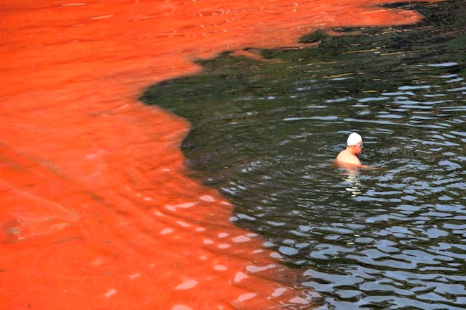 Joven de 22 años estudia relación de bacterias y mareas rojas en bcs - bcs noticias