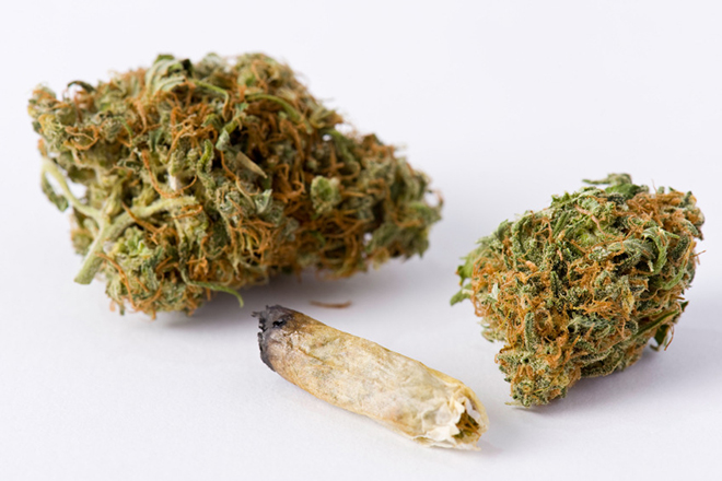 Medical Marijuana. Legally obtained medical Marijuana used in the treatment of glaucoma and cancer. View showing two kind nugs and a half-smoked roach joint. ProPhoto RGB.