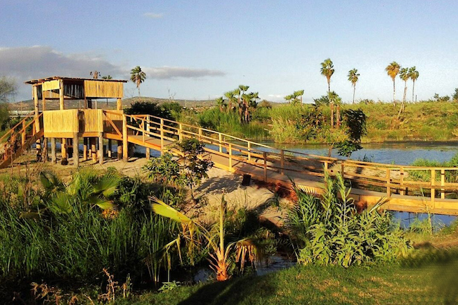 Construyeron en el estero de san josé del cabo las primeras torres para observar aves - bcs noticias