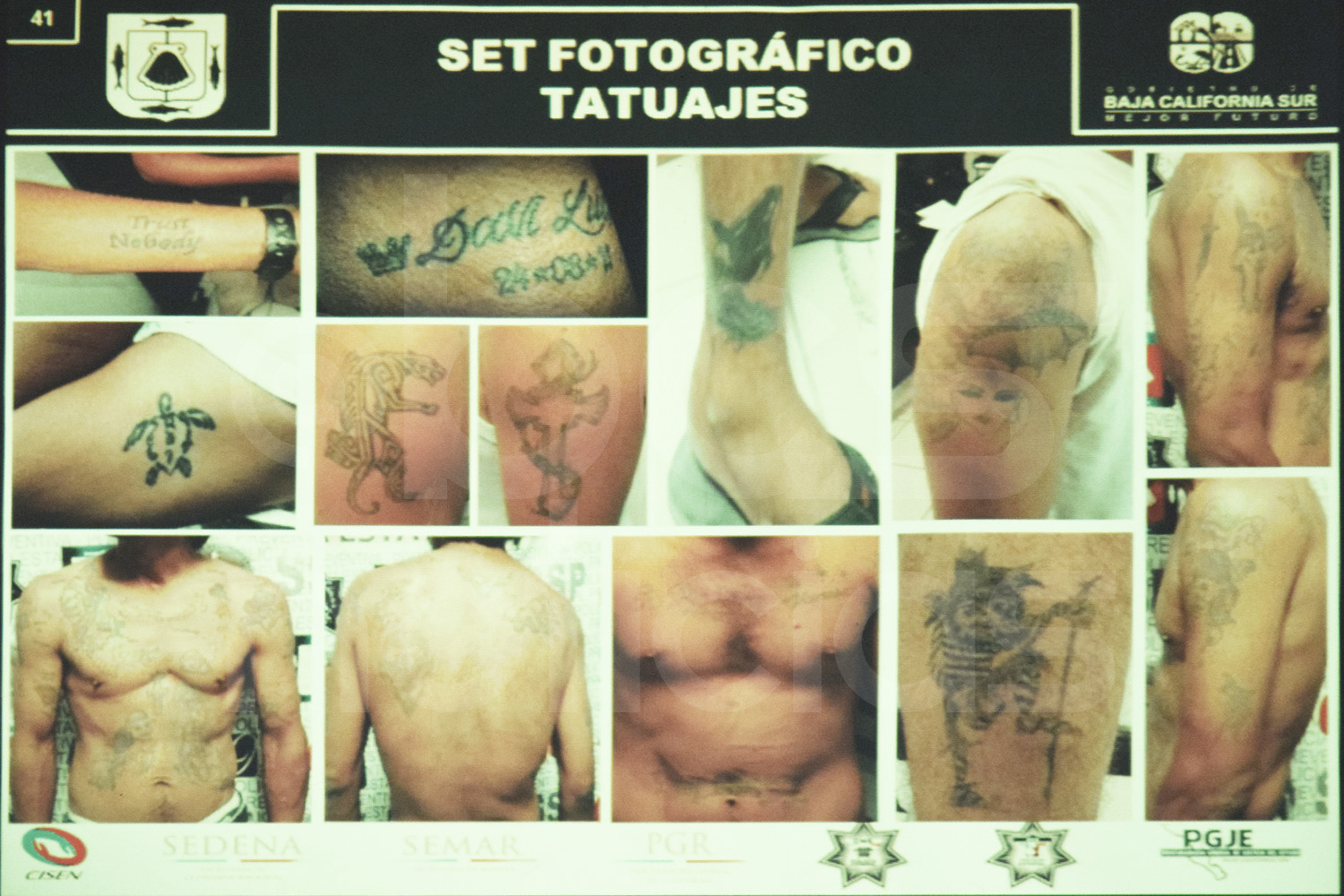 grupo-cordinacion-seguridad-bcs-tatuajes