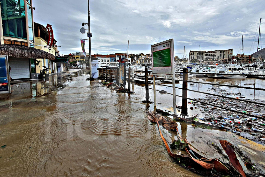 La Marina de Cabo San Lucas refleja los estragos de las lluvias registradas en las últimas 24 horas; kilos de basura flotan en sus aguas