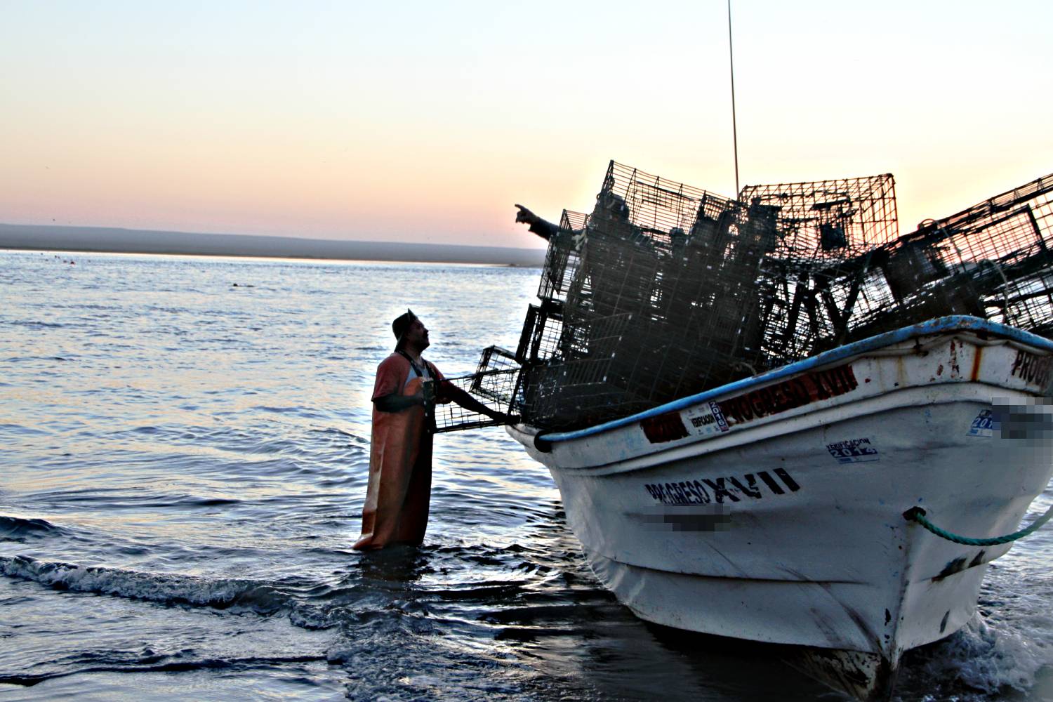 Se extiende periodo de registro al padrón de seguro de vida a pescadores en BCS: Sepada