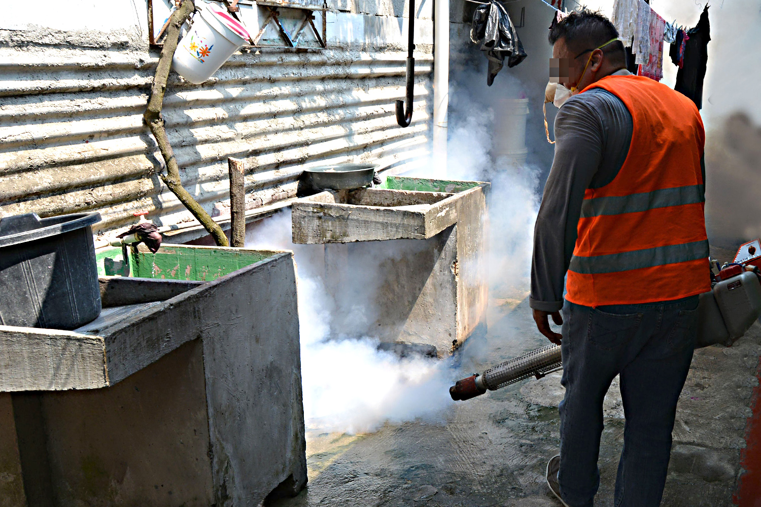 le a La Paz; anuncian segunda jornada de fumigación contra el dengue para sus - BCS Noticias