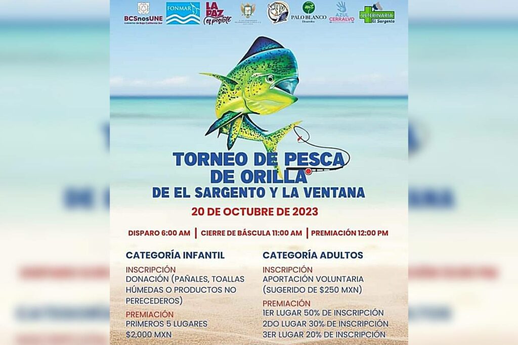 Torneo de pesca de orilla en El Sargento y La Ventana; será a favor de  menores en zonas rurales - BCS Noticias